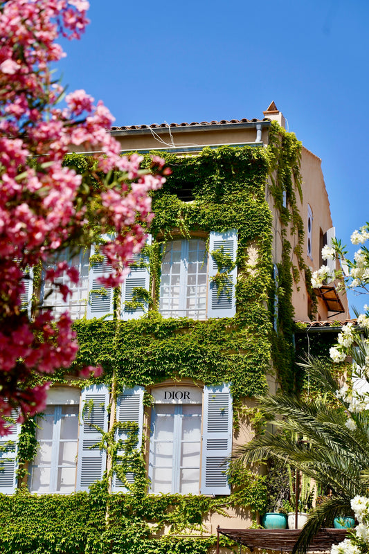 DIOR